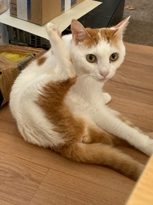 何か〜？？