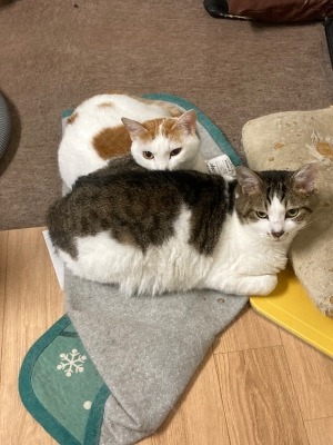 いじけてる