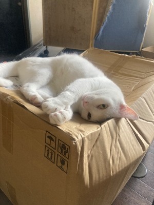休日のひと時を写真でください！