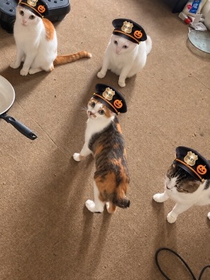 怒ったぞ〜