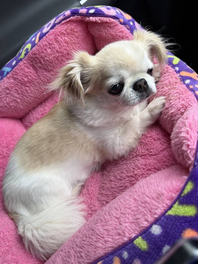 🌟お客様に“また呼びたい”と思わせるコツ 7選🌟