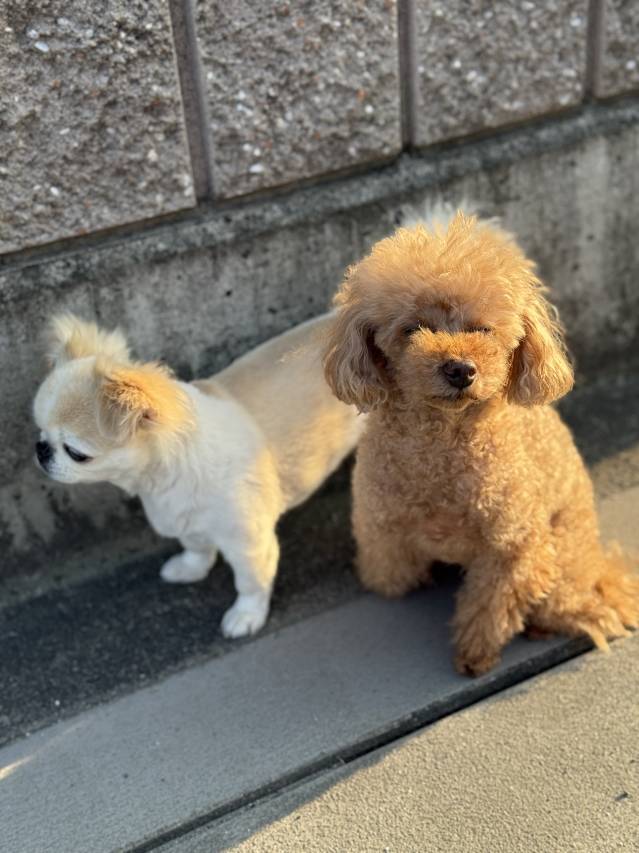 🌸【楽しく働ける環境づくりを大切にしています】🌸