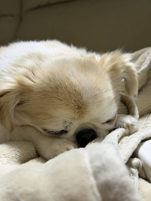 🌸キャストさんがメンタルが弱った時の解決方法🌸
