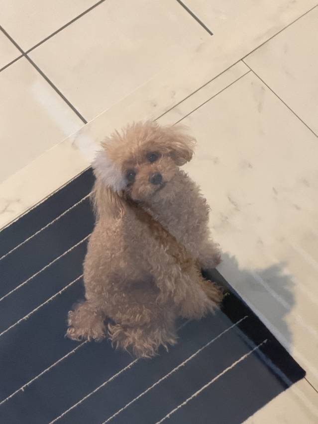 🌸**面接だけでも・問い合わせだけでも大歓迎です！**🌸