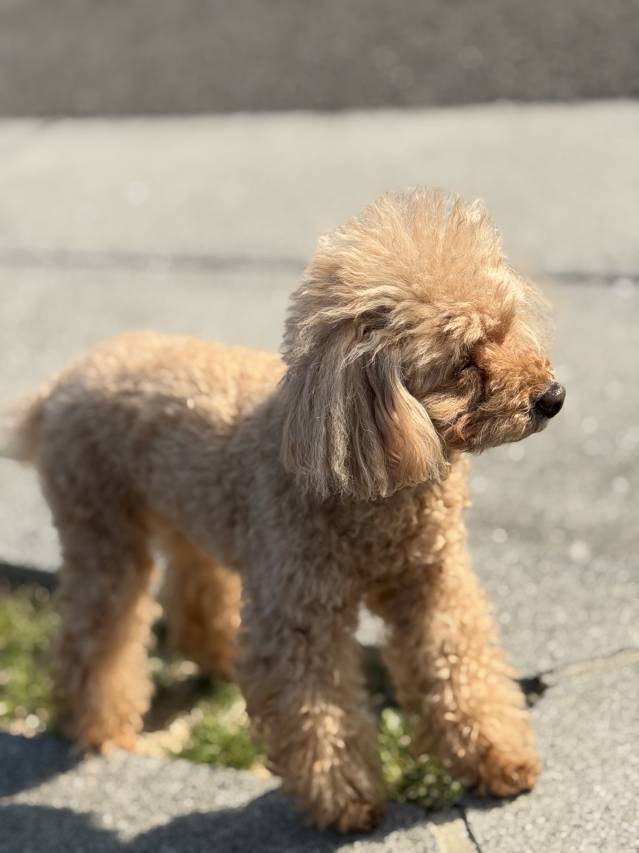 🌸デリヘルは短時間でも稼げる理由🌸