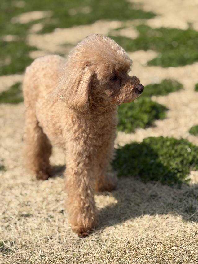 🌸空いた時間だけでもOK🌸