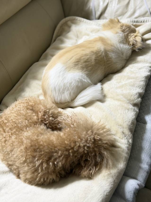 3月19日(木)☀️