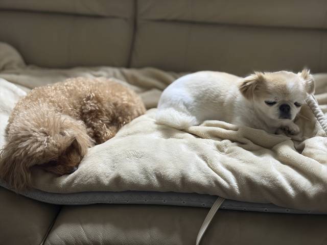 4月28日(火)☀️