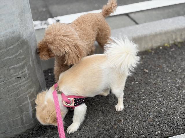 5月6日(水)☀️