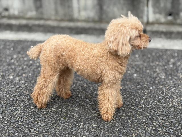 5月8日(金)☀️