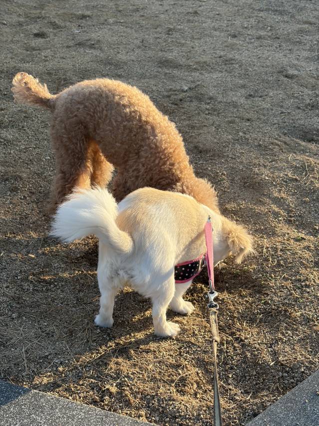 5月10日(日)☀️
