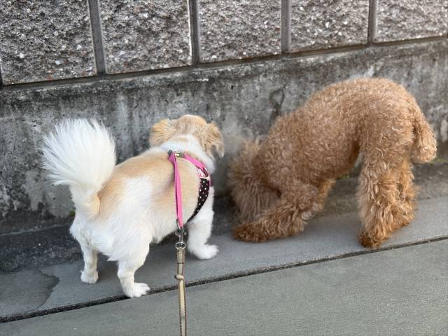 5月20日(水)☀️