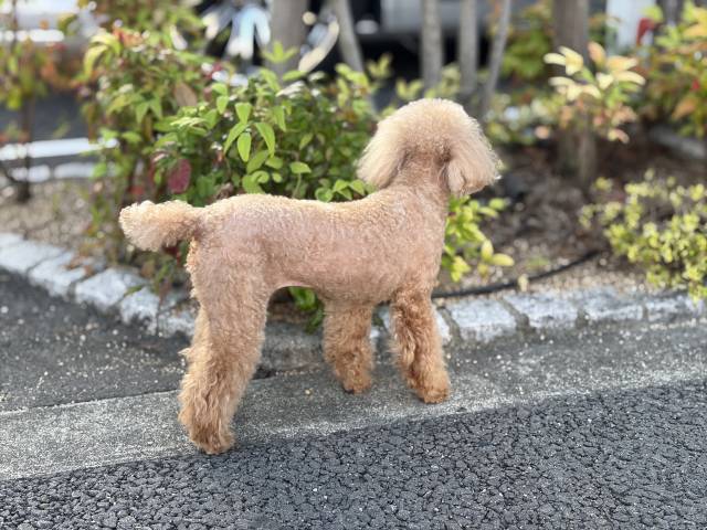 5月25日(月)☀️