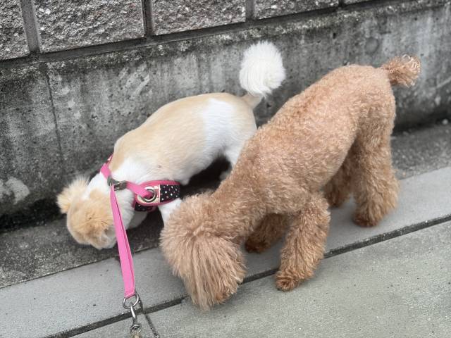 6月6日(土)☁️