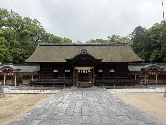 6月8日(月)☂️