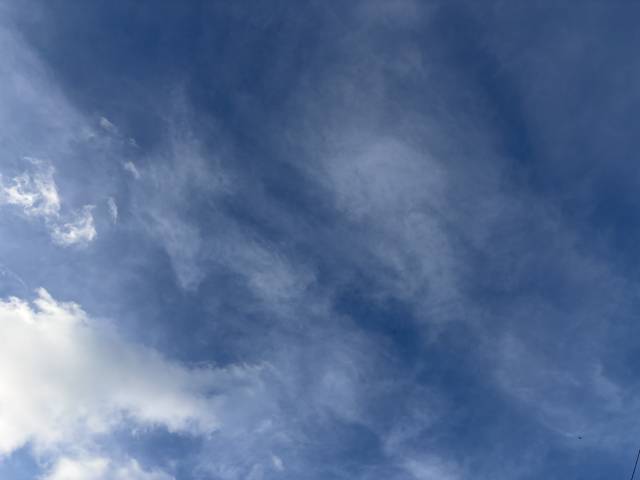 7月17日(金)☀️