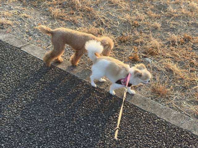 7月20日(月)☀️