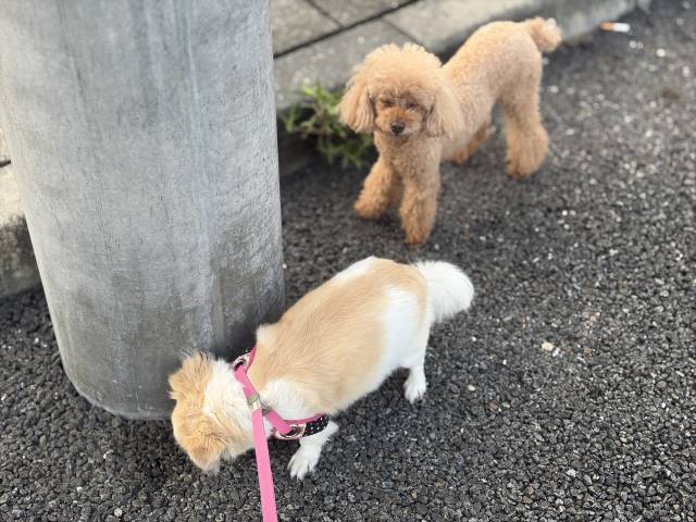 7月22日(水)☀️