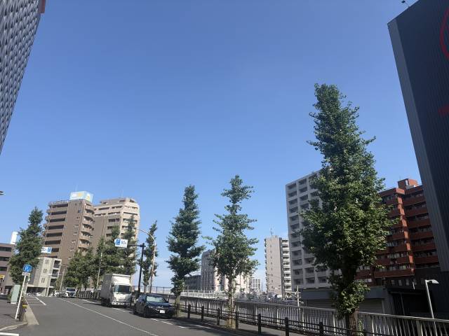 7月25日(土)☀️