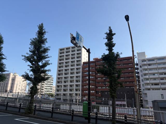 【本日のネタ】 🌸頑張っている女の子の評価はどのようにしていますか？🌸