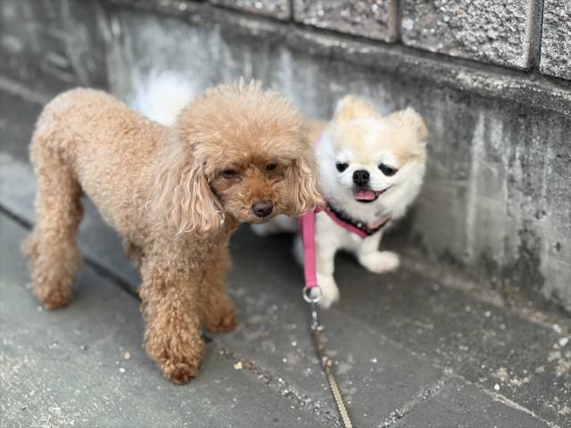 8月1日(土)☀️