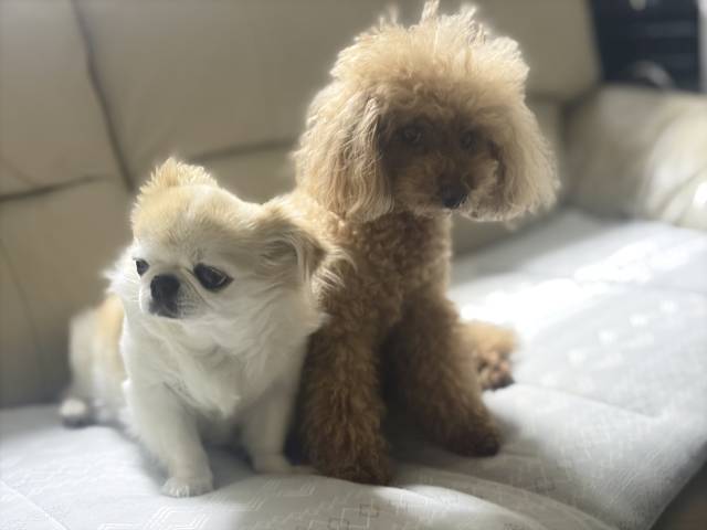 8月5日(水)☂️