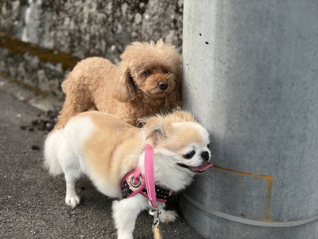 8月7日(金)☀️