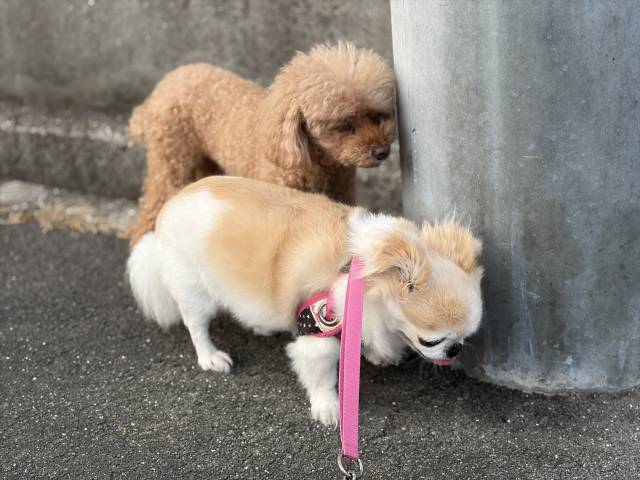 8月12日(水)☀️