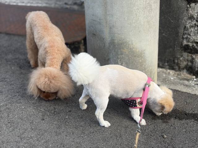 8月18日(火)☀️