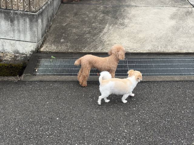 9月8日(火)☂️