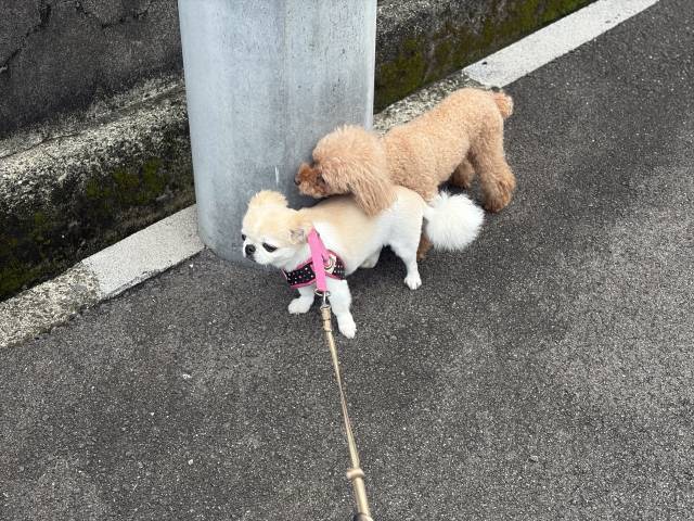 9月11日(金)☂️