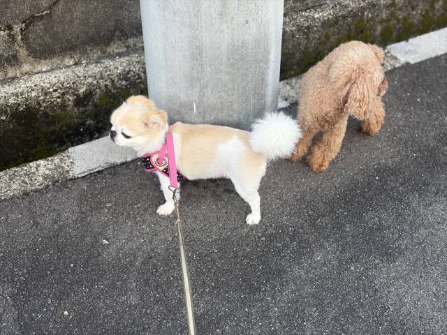 9月13日(日)☀️