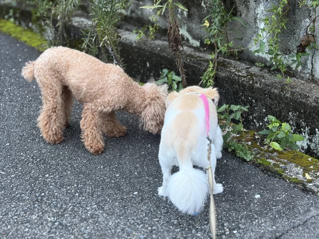 9月18日(金)☀️