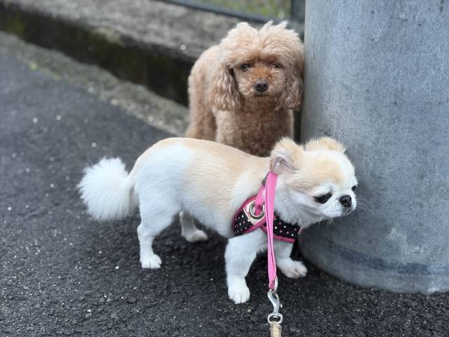 9月19日(土)☁️