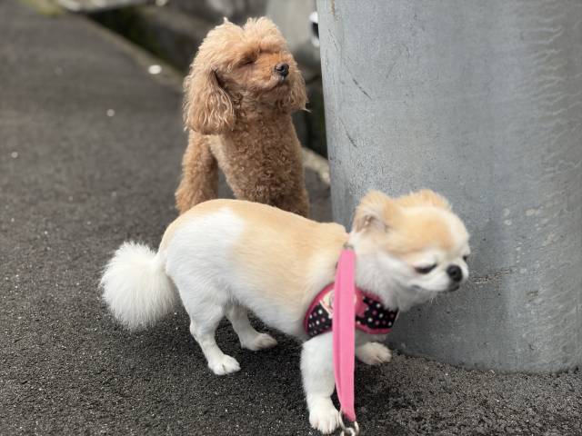 9月20日(日)☁️