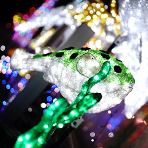 向いていないかもと思った時に読んでほしい話