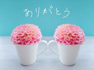 元社長の戯れ言｜素直な気持ちで「ありがとう」