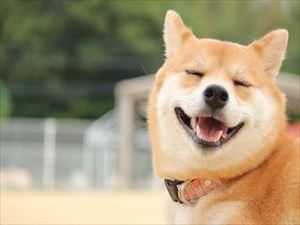 元社長の戯れ言｜「また会いたい」と思われるのは「笑顔」が一番！