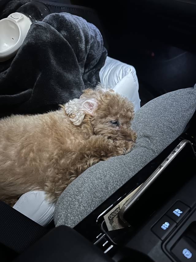 徳島で一番ゆる〜いお店