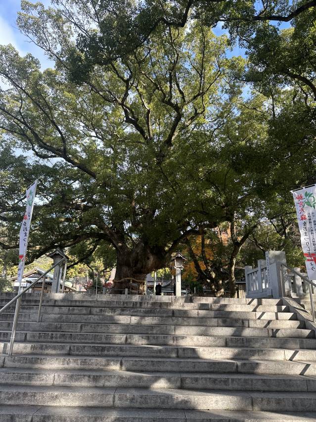 お天気よかった😁