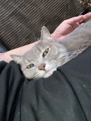 10月　結果発表〜