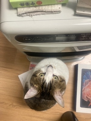 めっちゃ近いやん