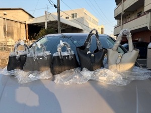 新しいデリバック