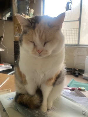 座ったまま　寝てる