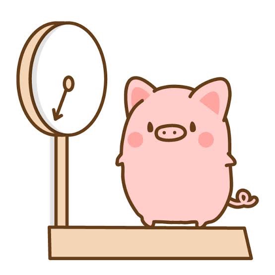 年に一度！！