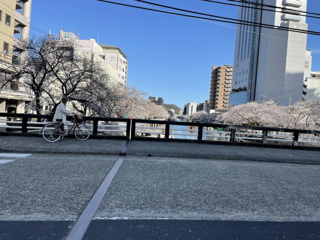 高知でエンジョイ！